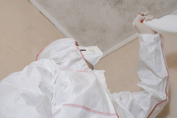 Best Mold Cleaning Services  in Waterloo, IN