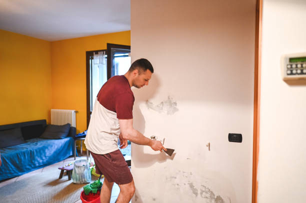 Best Attic Mold Removal  in Waterloo, IN